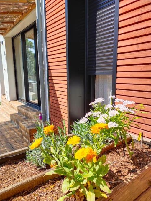 Notre Petite Maison La Rochelle  Exterior foto